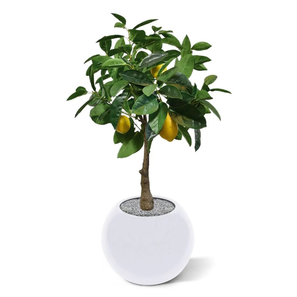 Sztuczne drzewko cytrynowe 70 cm