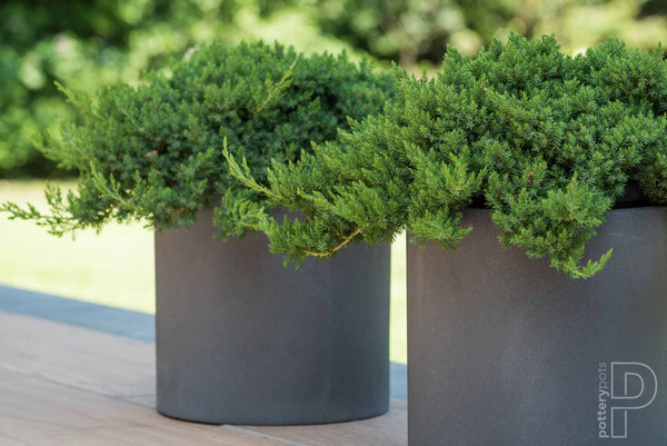 Max S 30/30 doniczka cylindryczna szara