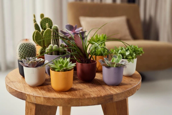 Jazz Elho 11 osłonka w kropki toskańska czerwień