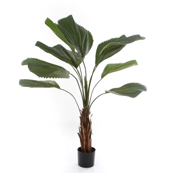 Sztuczna Palma Licuala 140 cm