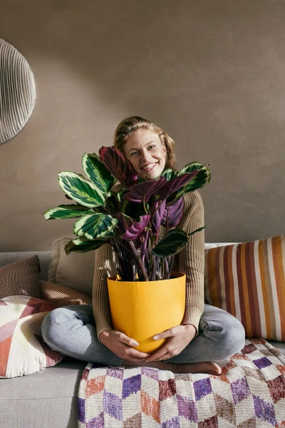 Jazz Elho 26 stylowa osłonka żółta amber yellow