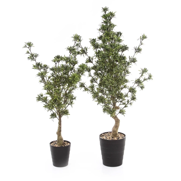 Sztuczny Cis japoński 85 cm