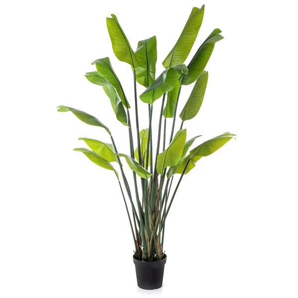 Sztuczna wysoka Strelitzia 200 cm 18 liści