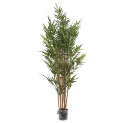 Sztuczny Bambus Royal 165 cm