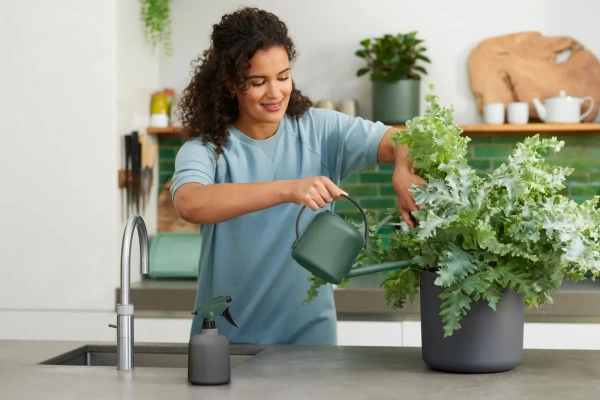 Konewka designerska Elho B. For Soft 1,7l zielony liść / leaf green