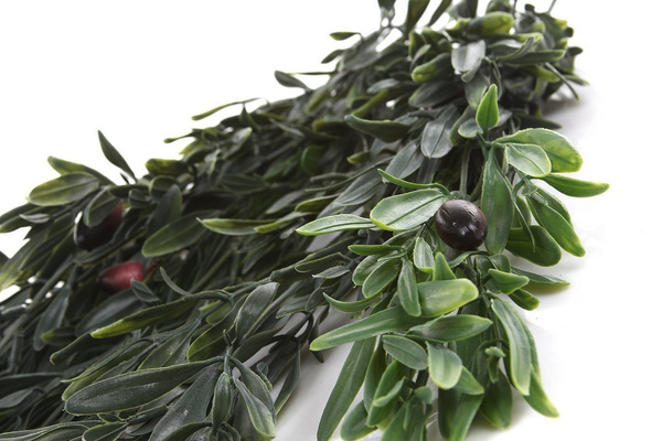 Sztuczna oliwka wisząca 85 cm 10 czarnych oliwek