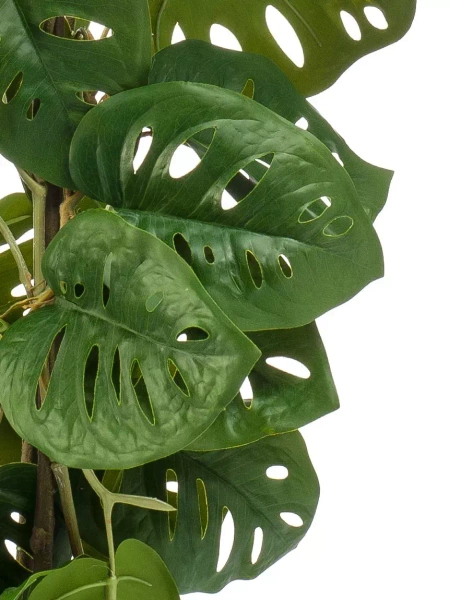 Sztuczna Monstera Monkey 75 cm 3 pnie