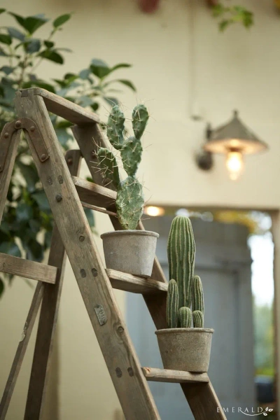 Sztuczny Kaktus San Pedro 57 cm w szarej doniczce