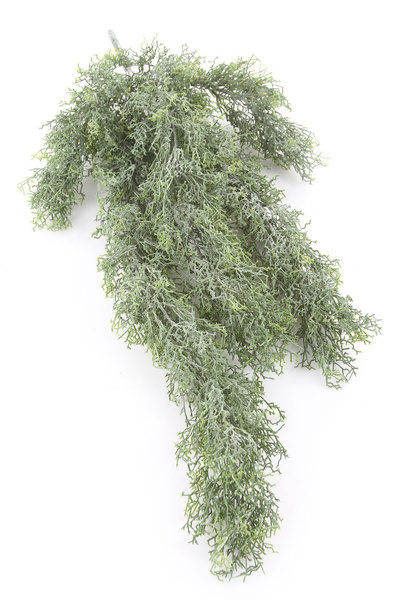 Sztuczna Russelia pnącze 75 cm