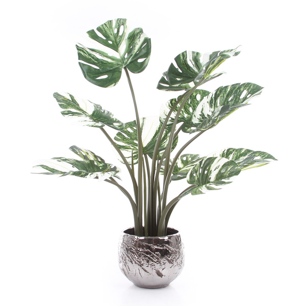Sztuczna Monstera Variegata dziurawa biało-zielona 90 cm