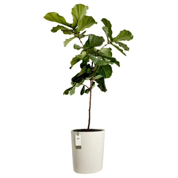 Eden Aquacare High 40 biała wysoka donica asymetryczna linen white system samonawadniający