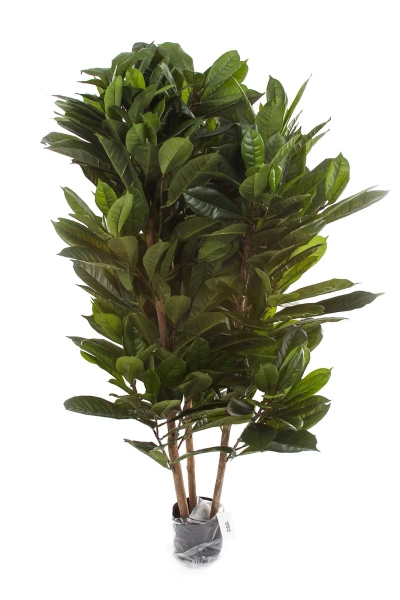 Gęsty sztuczny fikus Cyathistipula 120 cm deluxe