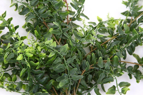 Sztuczna Paproć zwisająca pnącze 100 cm