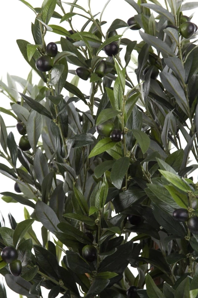 Sztuczna Oliwka 155 cm na grubym pniu deluxe