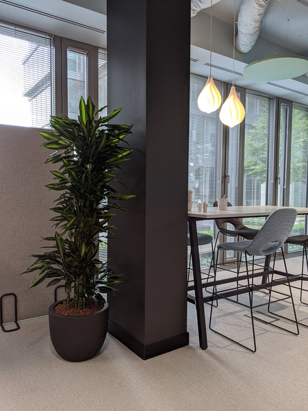 ETRIA 34/28 doniczka okrągła grafitowa / czarna perła