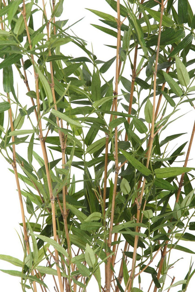 Sztuczny bambus Oriental 100 cm naturalne łodygi bambusa 960 liści