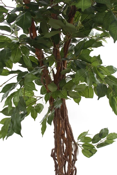 Sztuczny Fikus Liana 170 cm 1008 liści drewniane pnie