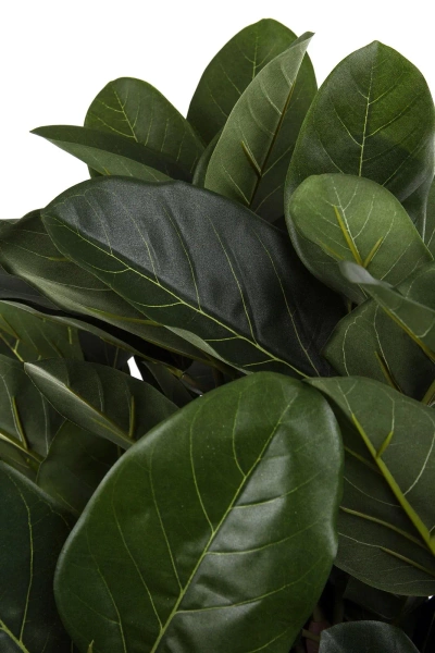 Sztuczny Fikus Audrey na drewnianych pniach 155 cm deluxe