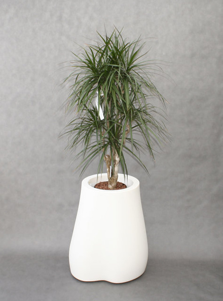 MISSED TREES III 41x47/57 donice designerska srebrna