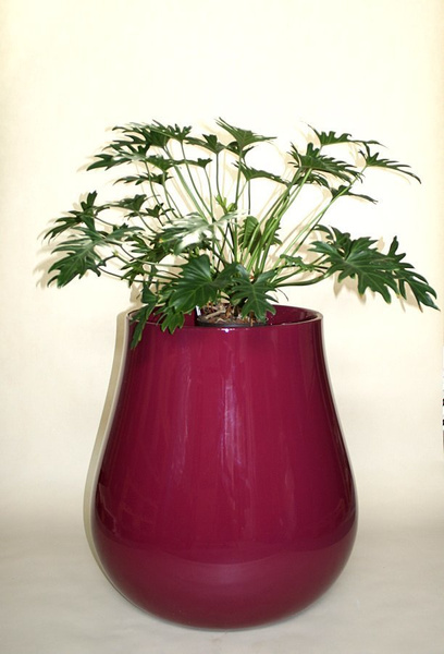 DROP 69/73 designerska donica lakierowana czerwone wino