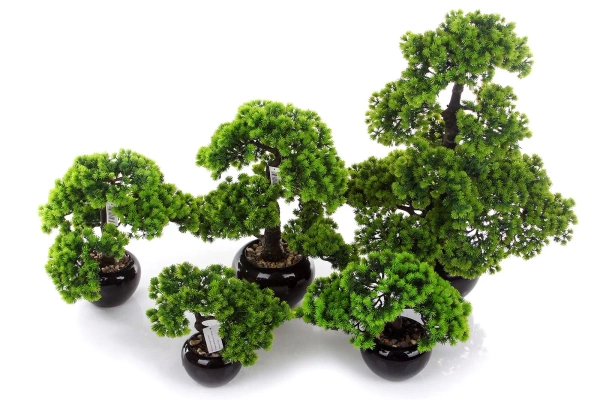 Sztuczny Bonsai Larch Modrzew 26 w czarnej doniczce ceramicznej