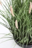 Sztuczna trawa pennisetum zielona w niskiej doniczce 60 cm