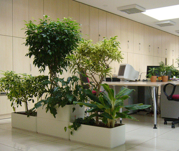 Sauerland 100x22/23 prostokątna donica kremowa