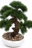 Sztuczne drzewko Bonsai Pinus Sosna 37 cm w białej doniczce