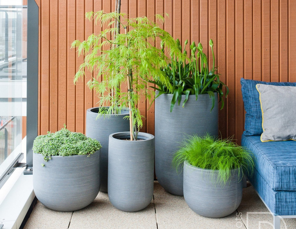 Cody L 42/37 kamienna donica ciemnoszara prążkowana