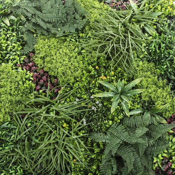 Sztuczna zielona ściana Premium 100x100 paprocie i mchy