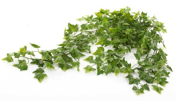 Sztuczny Bluszcz wiszący pnącze busz 75 cm UV zielony