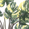 Sztuczna Monstera dziurawa Variegata żółta 60 cm