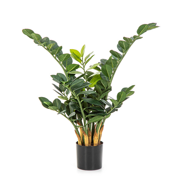 Sztuczna Zamia Zamioculcas Smaragd 66 cm 9 pędów