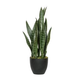Sztuczna Sansevieria zielona 70 cm