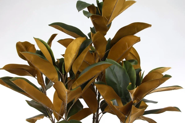 Sztuczna Magnolia Denudata 180 cm