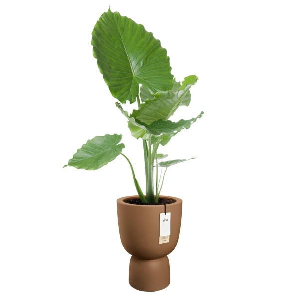 Amber Coupe Round 41/58 karmelowa nowoczesna donica piedestał