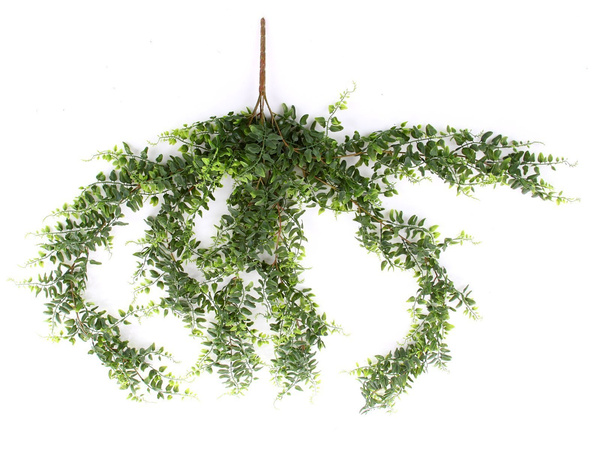 Sztuczna Paproć zwisająca pnącze 100 cm