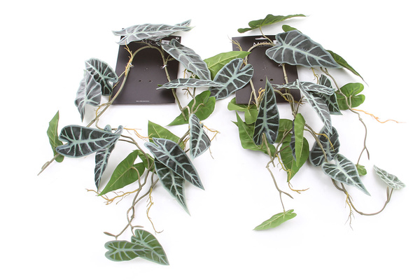 Sztuczna Alokazja wisząca pnącze 115 cm