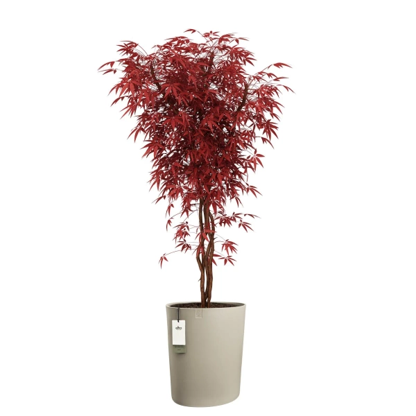 Eden Aquacare High 40 wysoka donica asymetryczna soft taupe system samonawadniający