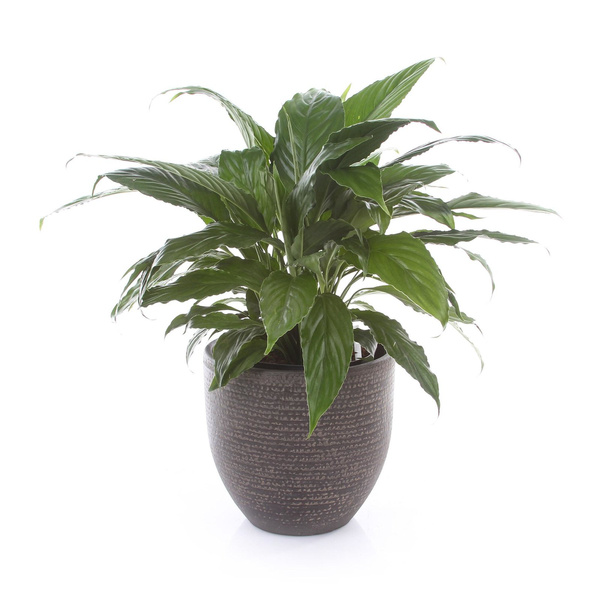 Carrie 14/12 osłonka ceramiczna brązowa tekstura