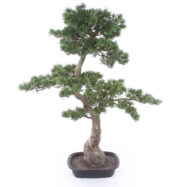 Sztuczny Bonsai Pinia 80x110 cm