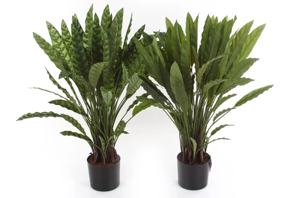 Sztuczna Kalatea lancetolistna 84 cm