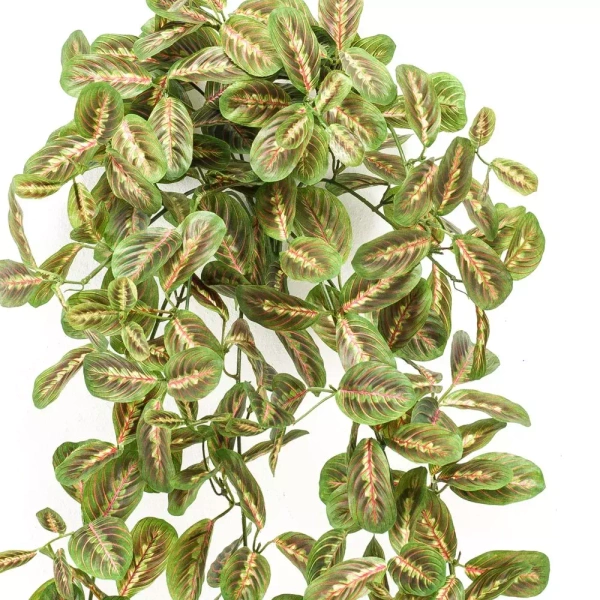 Sztuczna Maranta pnąca 70 cm