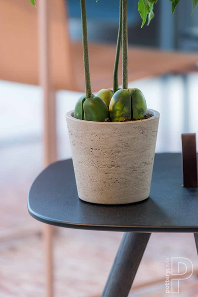 Mini Bucket M 16/15 kamienna doniczka złota metalik