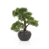 Sztuczne drzewko Bonsai Cedr 37 cm w czarnej doniczce