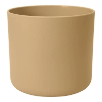 złoty piasek / golden sand