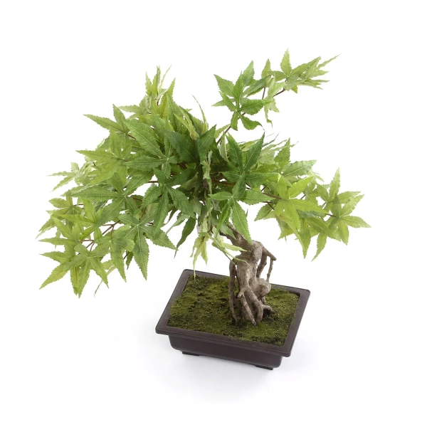 Sztuczny Bonsai Klon 50 cm zielony w doniczce