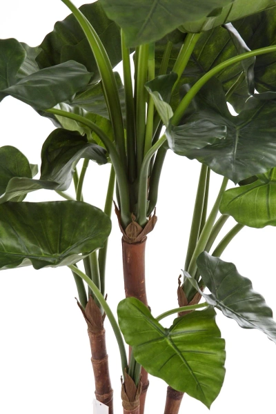 Sztuczna Alokazja Calidora 125 cm deluxe