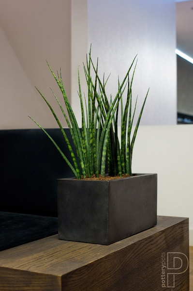 Balcony XL 80x20/20 długa donica prostokątna czarna