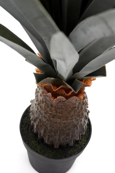 Sztuczna Agawa angustifolia 140 cm UV